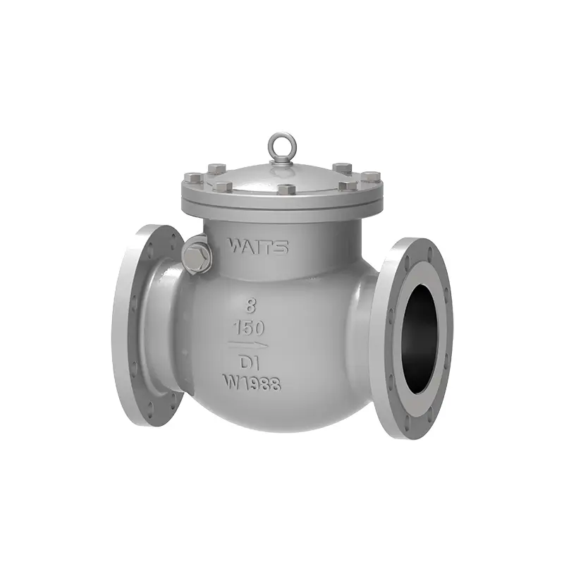 Ductile Iron Check Valve